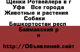 Щенки Ротвейлера в г.Уфа - Все города Животные и растения » Собаки   . Башкортостан респ.,Баймакский р-н